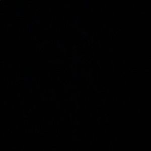 Meet your Posher, Linsay